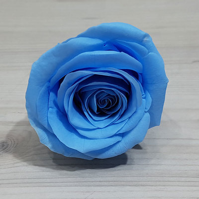 프리저브드 장미-블루(8송이)