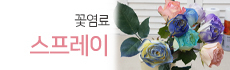 꽃염료 스프레이