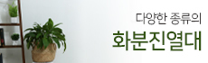 화분진열