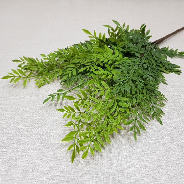 루스커스부쉬	