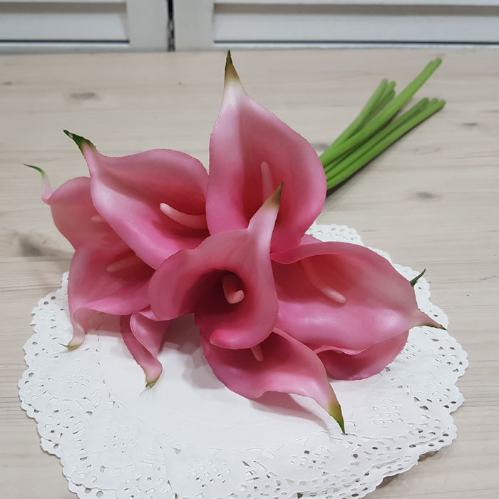 카라번들-뷰티