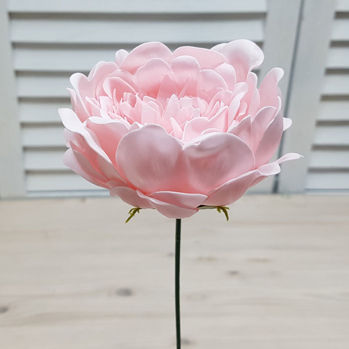 작약-연연핑크(9송이)