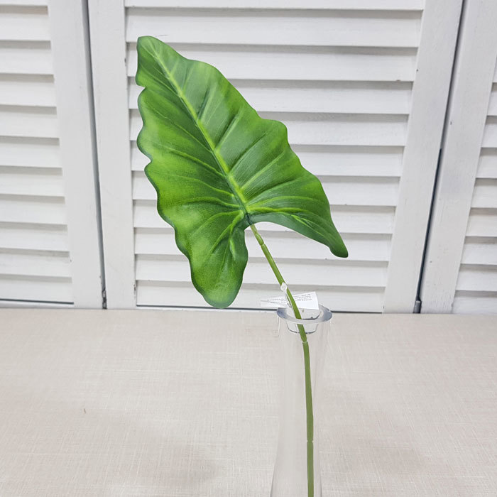 카라잎가지(5개)