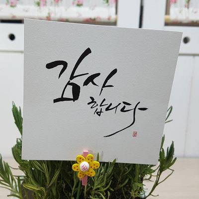이지픽B(대)-감사(10장)