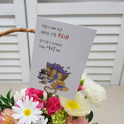진심카드(28장)