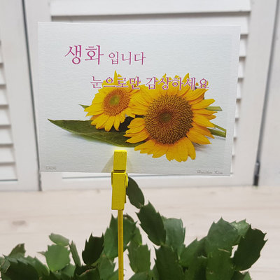 생화눈으로-12장
