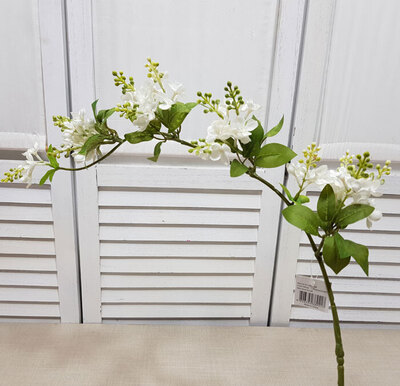 라일락가지80