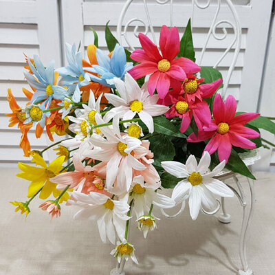 데이지가지60-7컬러