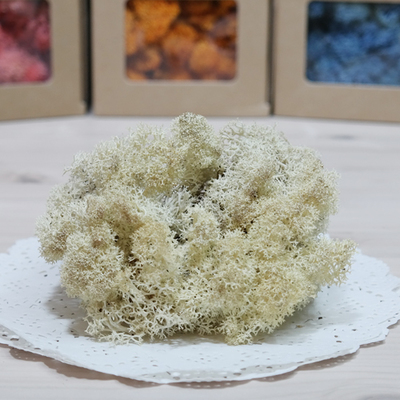 스칸디아모스-natural(500g)