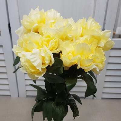 산작약부쉬-옐로우	