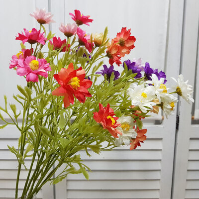 데이지가지69-4컬러