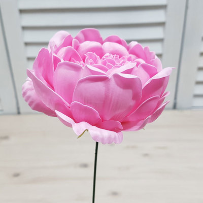 작약-연핑크(9송이)