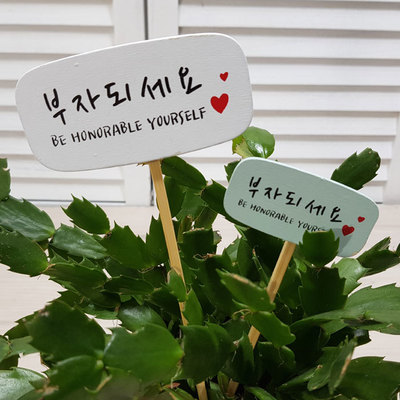 <특가>둥근사각픽-부자되세요(소/대)