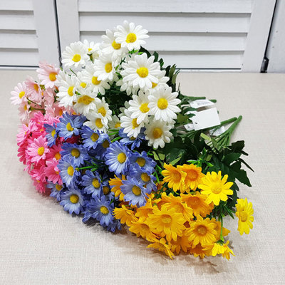 구절초12부쉬-5컬러