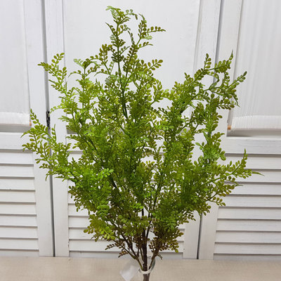 산초잎부쉬(F-1133)